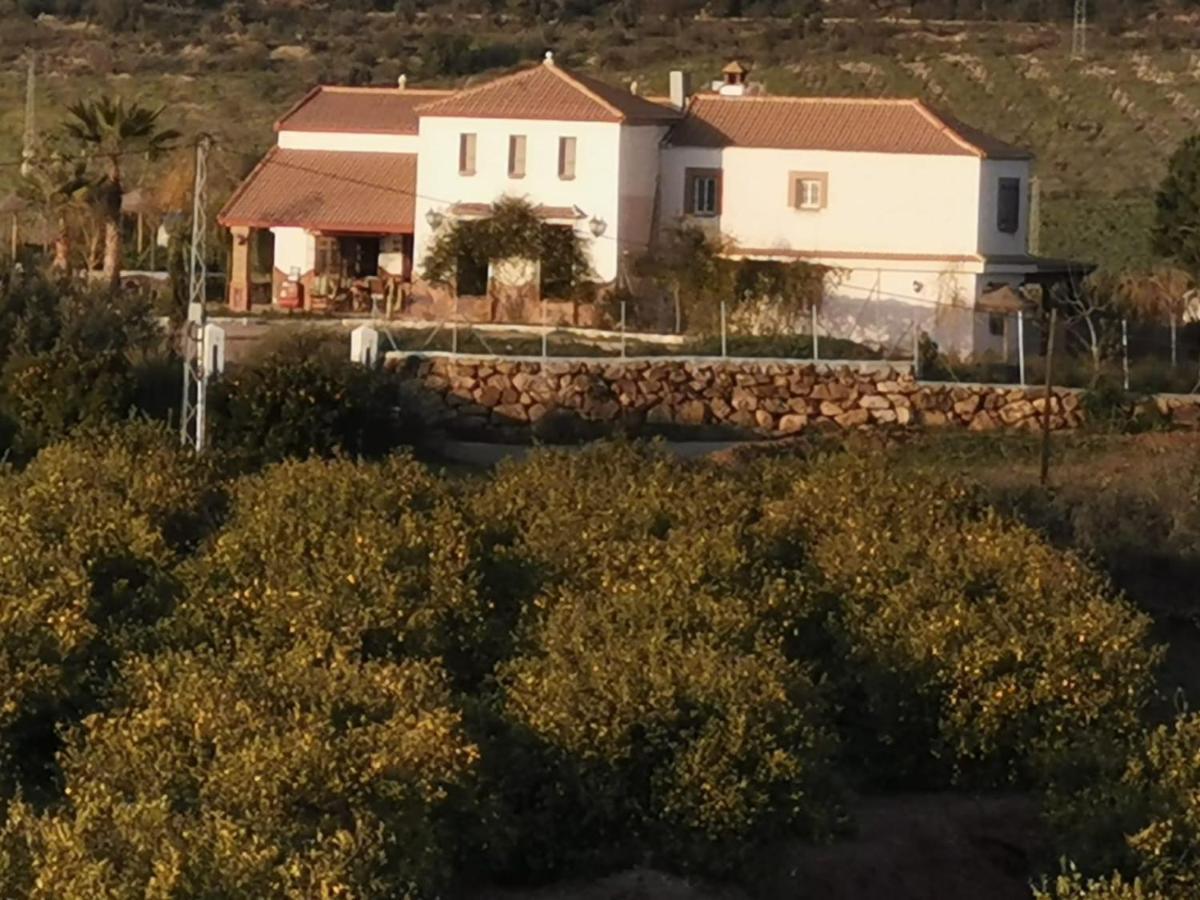 Villa Coino Cartama Bagian luar foto